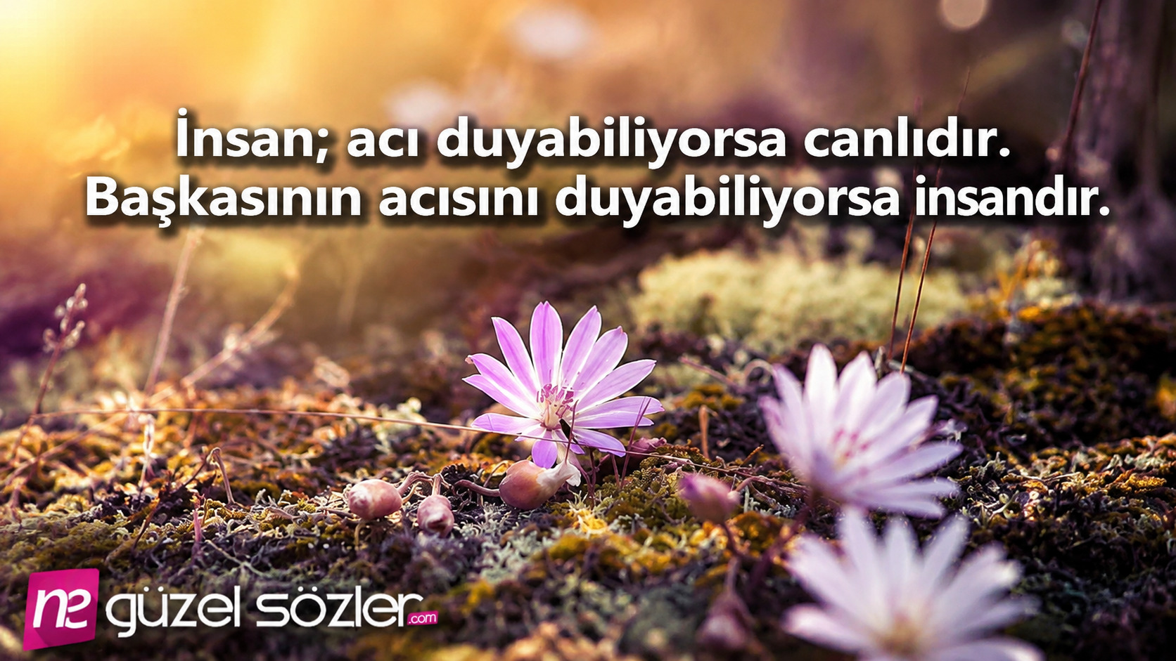 Empati ile ilgili sözler