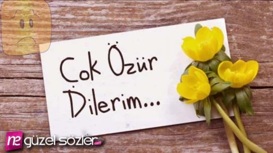 Özür Sözleri