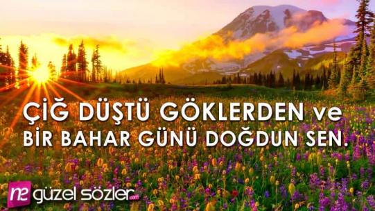 Sezai Karakoç Sözleri