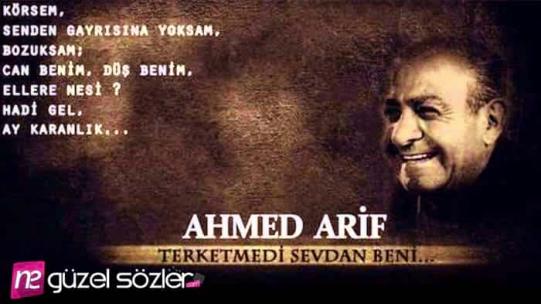 Ahmet Arif Sözleri