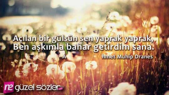 Ahmet Muhip Diranas Sözleri