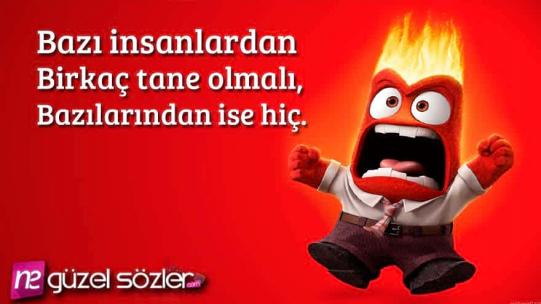 Kızgınlık Mesajları