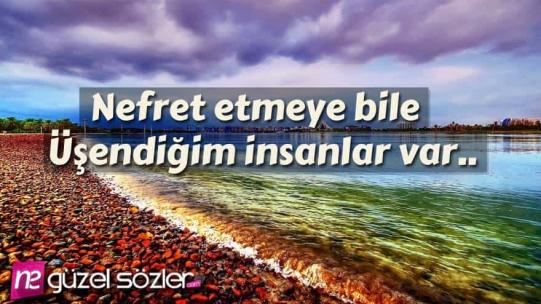Nefret Sözleri
