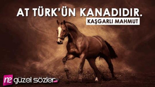 Kaşgarlı Mahmut Sözleri