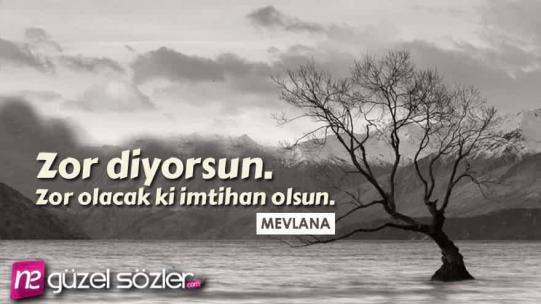 Zorluk İle İlgili Sözler