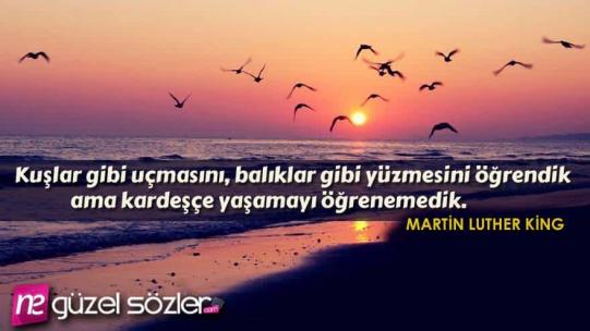 Barış Sözleri