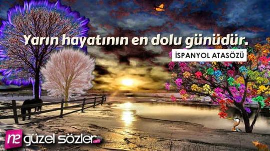 Şahane Sözler