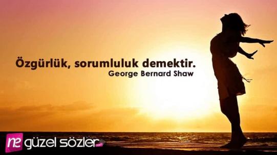 Sorumluluk İle İlgili Sözler