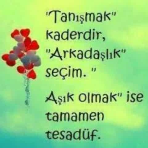Bilalseyrek21