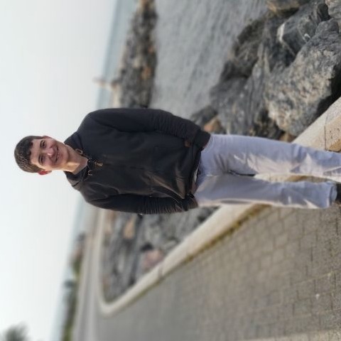 Hamit Isik
