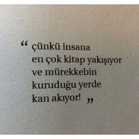 gecekusu72