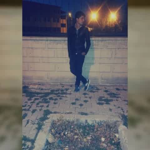 vesim