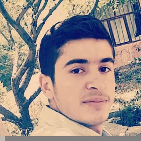 Xemgin